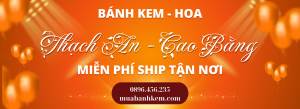TIỆM BÁNH KEM SINH NHẬT HUYỆN THẠCH AN CAO BẰNG